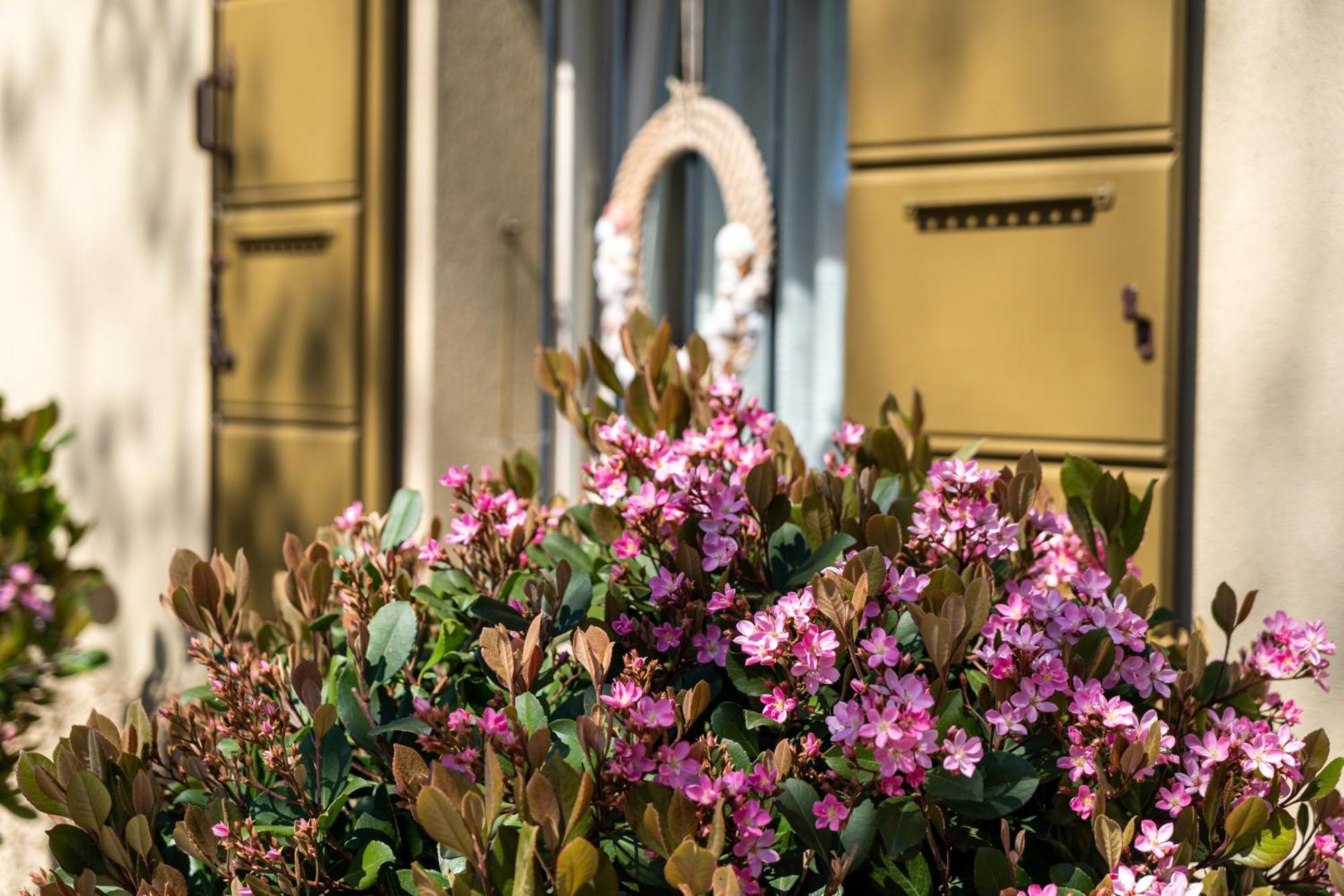 Casina Le Conserve Cesenatico Exterior foto